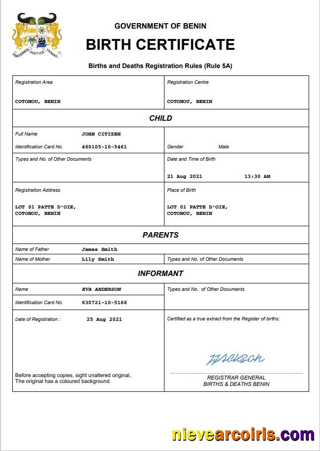 Professional Benin Birth Certificate Word And PDF Template