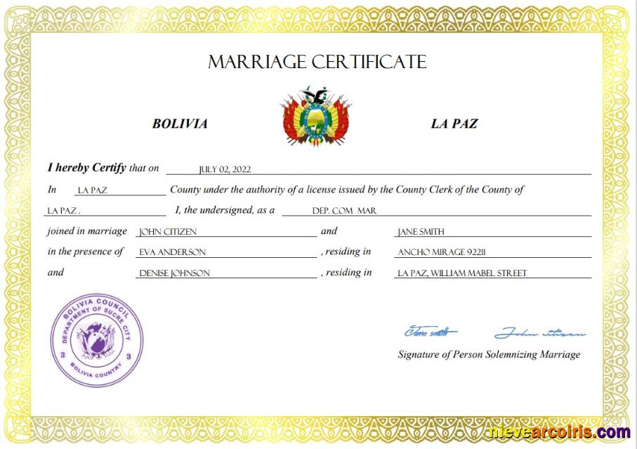 Professional Bolivia Marriage Certificate Word And PDF Template