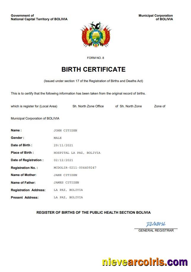 Editable Bolivia Vital Record Birth Certificate Word And PDF Template