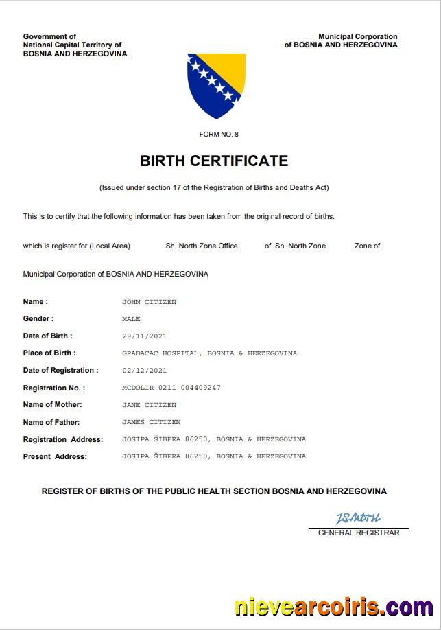 Realistic Bosnia And Herzegovina Vital Record Birth Certificate Word And PDF Template
