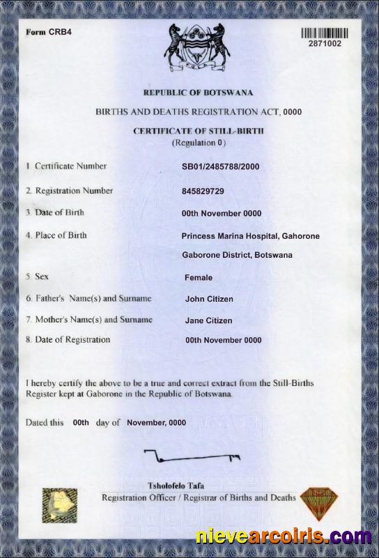 Professional Botswana Birth Certificate Template In PSD Format