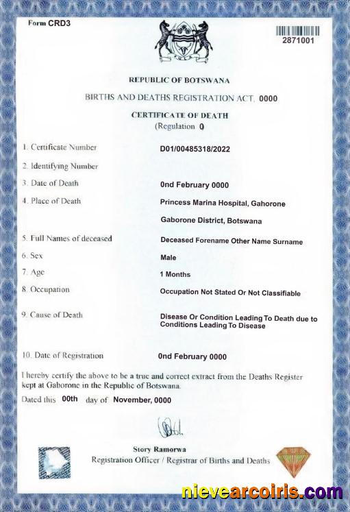 Editable Botswana Death Certificate Template In PSD Format
