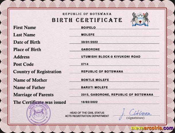 Realistic Botswana Vital Record Birth Certificate PSD Template