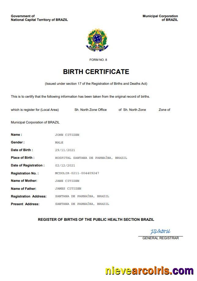 Premium Brazil Vital Record Birth Certificate Word And PDF Template