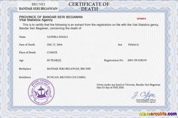 Professional Brunei Vital Record Death Certificate PSD Template