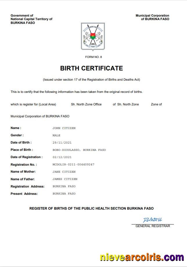 Editable Burkina Faso Birth Certificate Word And PDF Template