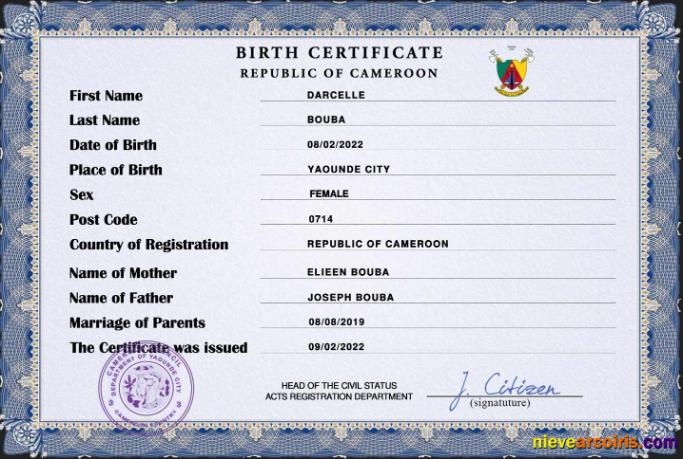 Professional Cameroon Vital Record Birth Certificate PSD Template