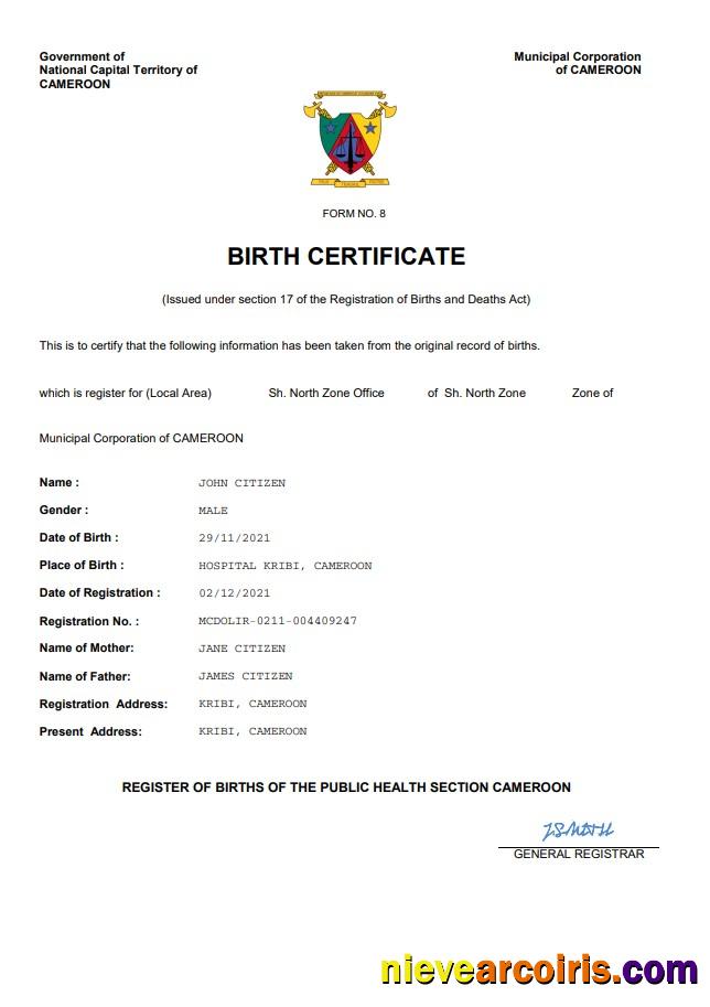 Realistic Cameroon Vital Record Birth Certificate Word And PDF Template