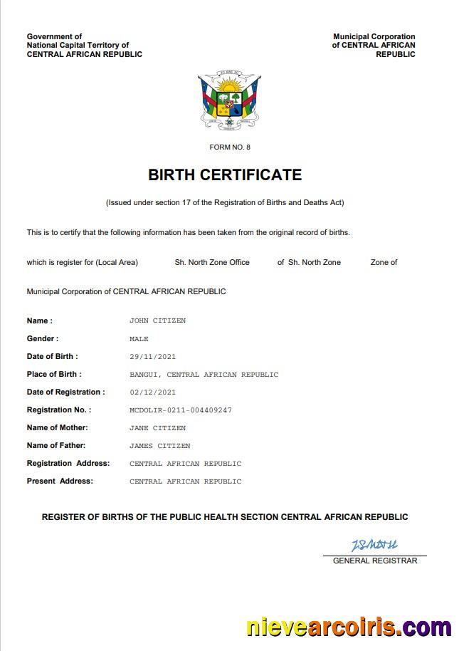 Editable Central African Republic Vital Record Birth Certificate Word And PDF Template