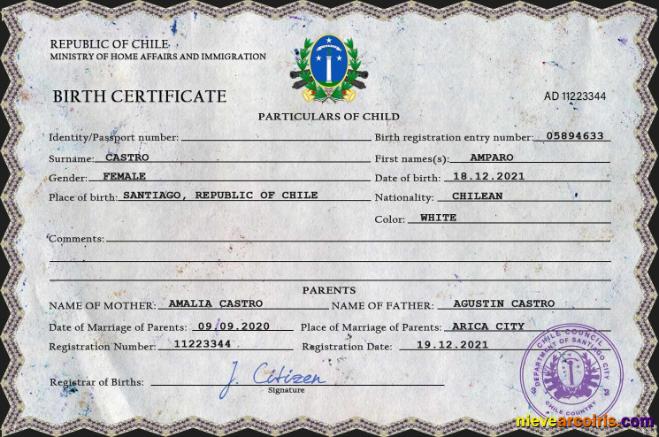 Premium Chile Vital Record Birth Certificate PSD Template