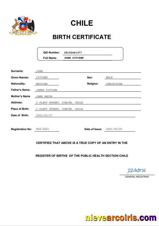 Premium Chile Vital Record Birth Certificate Word And PDF Template