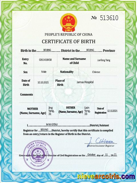 Professional China Vital Record Birth Certificate PSD Template