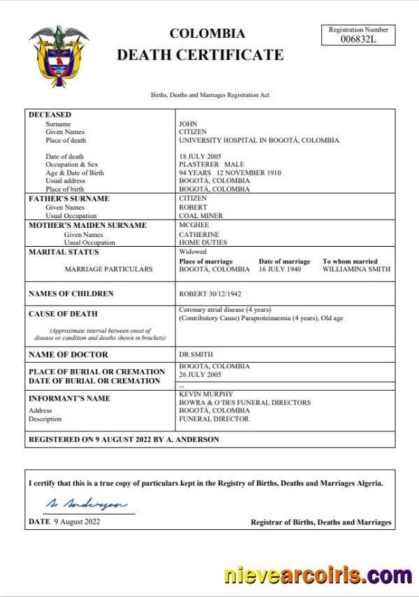 Realistic Colombia Death Certificate Word And PDF Template