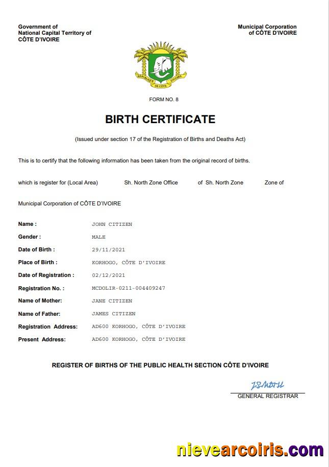 Realistic Cote D’Ivoire Vital Record Birth Certificate Word And PDF Template