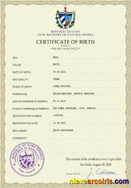 Realistic Cuba Vital Record Birth Certificate PSD Template