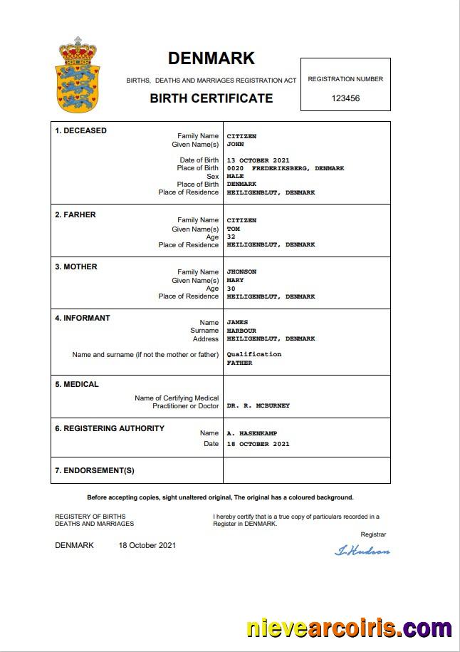Editable Denmark Vital Record Birth Certificate Word And PDF Template