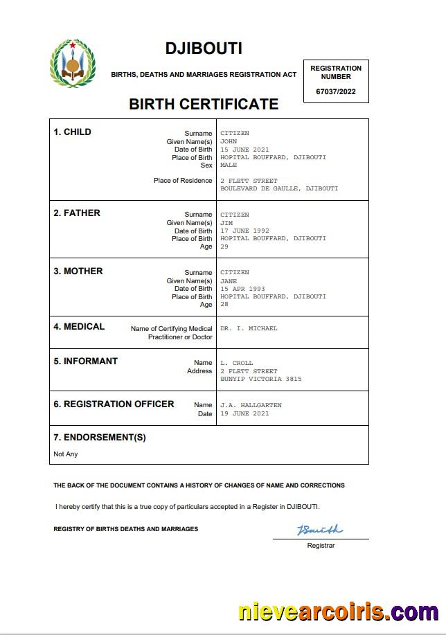 Professional Djibouti Birth Certificate Word And PDF Template