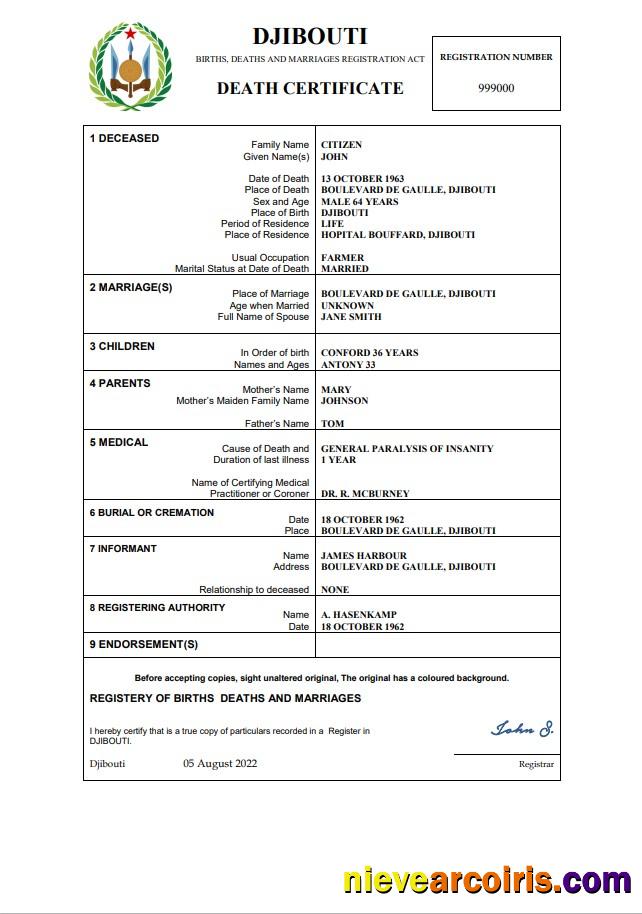 Premium Djibouti Death Certificate Word And PDF Template