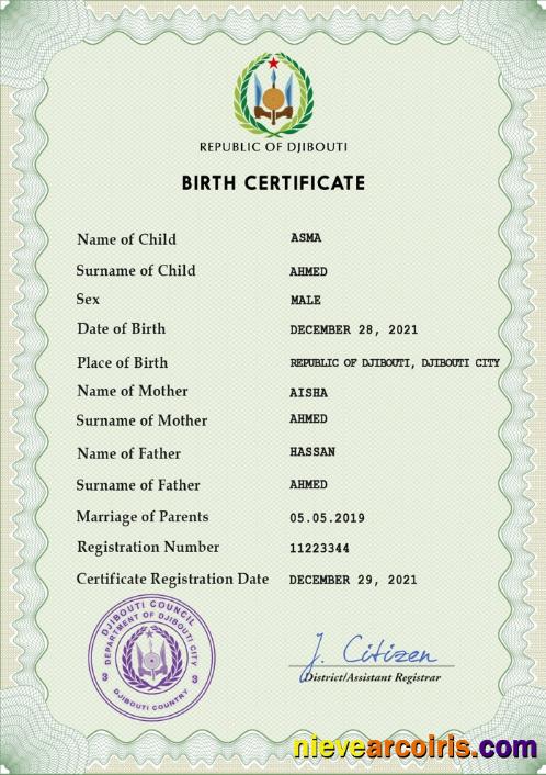 Premium Djibouti Vital Record Birth Certificate PSD Template