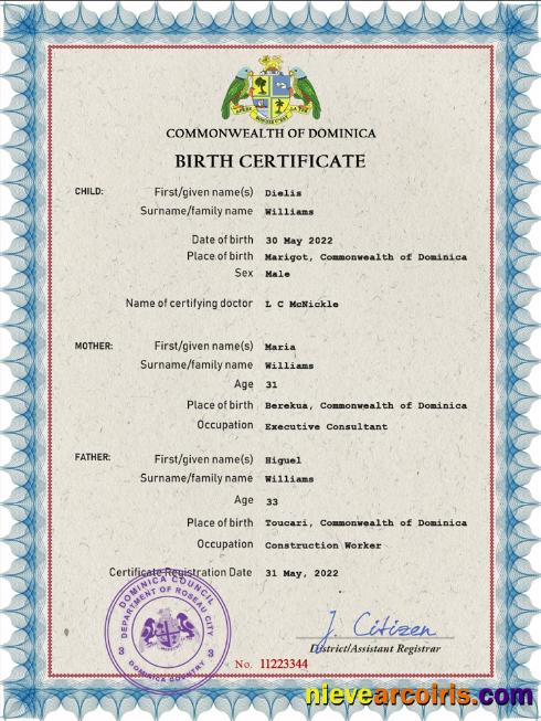 Professional Dominica Vital Record Birth Certificate PSD Template