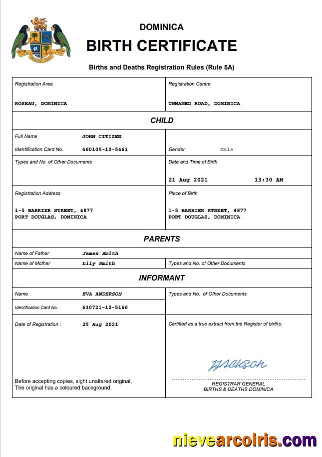 Realistic Dominica Vital Record Birth Certificate Word And PDF Template