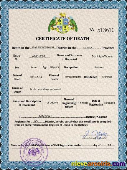 Professional Dominica Vital Record Death Certificate PSD Template