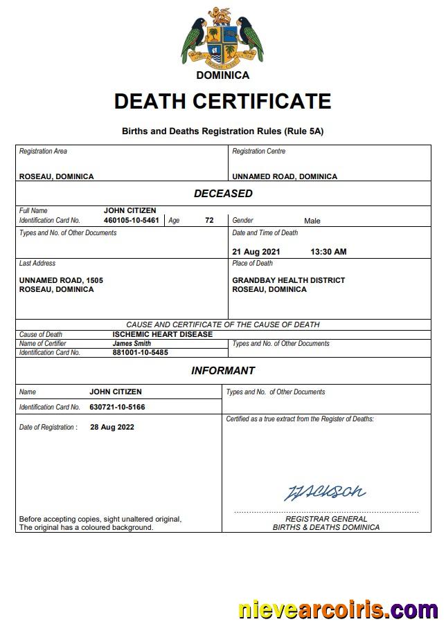 Realistic Dominica Vital Record Death Certificate Word And PDF Template