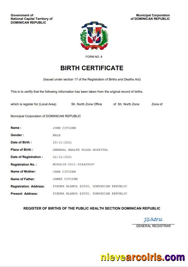 Professional Dominican Republic Birth Certificate Word And PDF Template