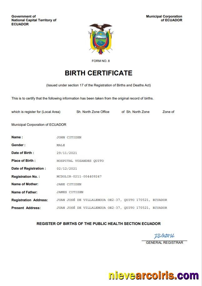 Editable Ecuador Vital Record Birth Certificate Word And PDF Template