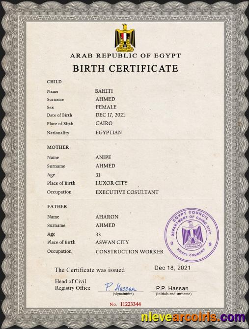 Editable Egypt Vital Record Birth Certificate PSD Template