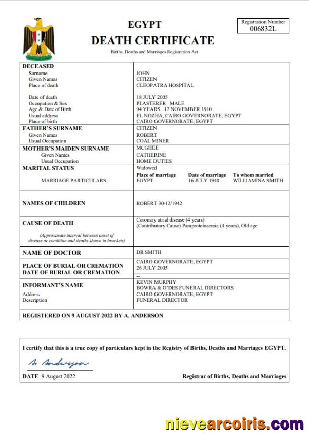 Realistic Egypt Vital Record Death Certificate Word And PDF Template