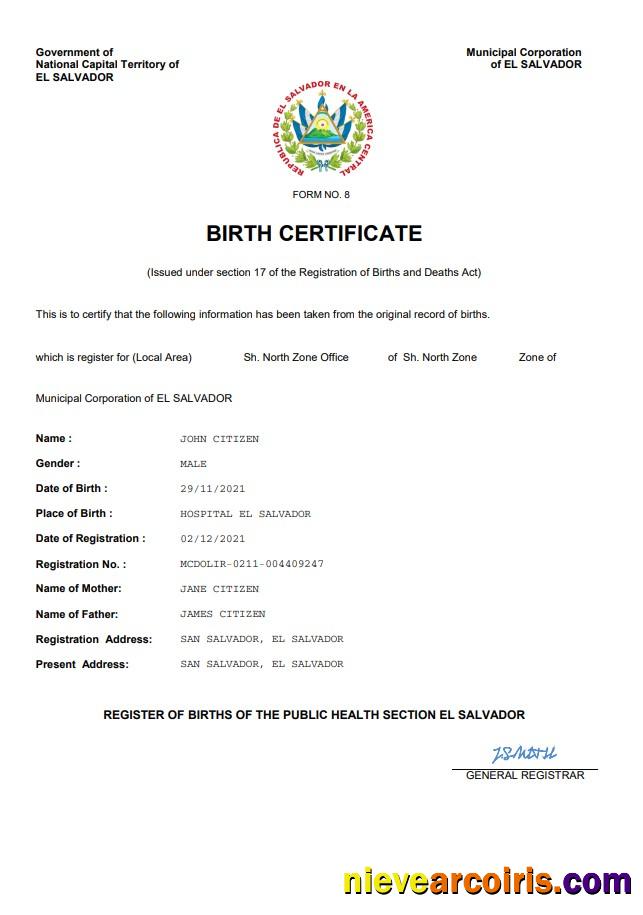 Premium El Salvador Vital Record Birth Certificate Word And PDF Template