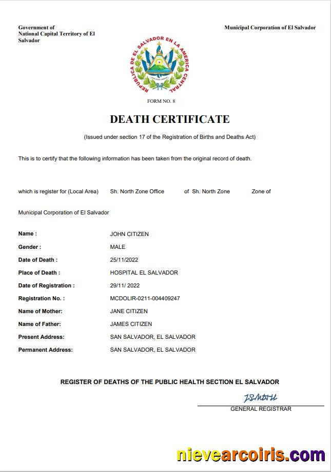 Premium El Salvador Vital Record Death Certificate Word And PDF Template