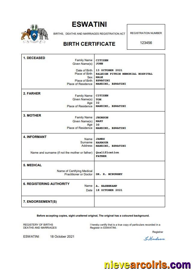 Professional Eswatini Birth Certificate Word And PDF Template
