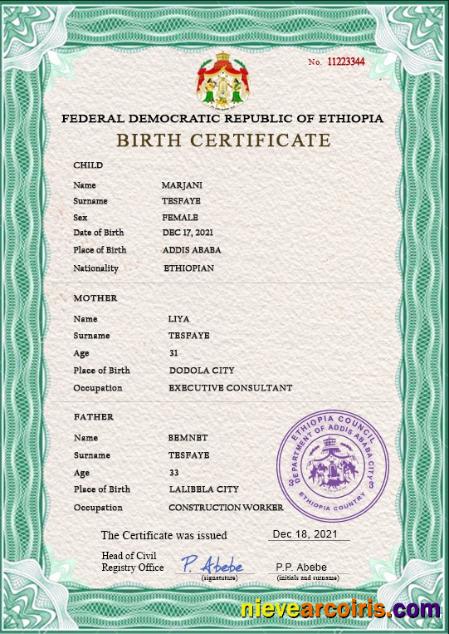 Professional Ethiopia Birth Certificate PSD Template