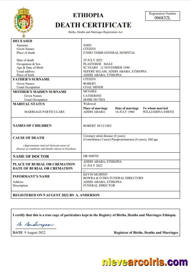 Realistic Ethiopia Vital Record Death Certificate Word And PDF Template