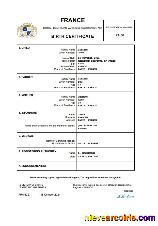 Professional France Birth Certificate Word And PDF Template