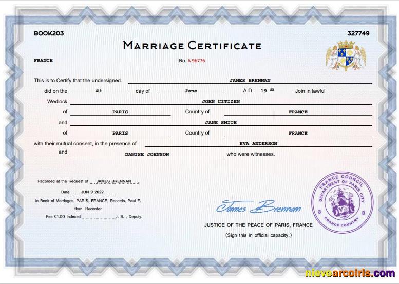 Professional France Marriage Certificate Word And PDF Template