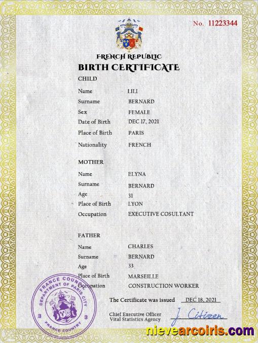 Realistic France Vital Record Birth Certificate PSD Template