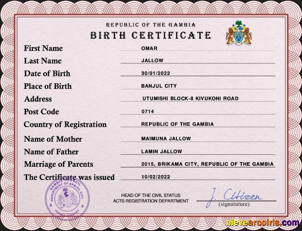 Professional Gambia Vital Record Birth Certificate PSD Template