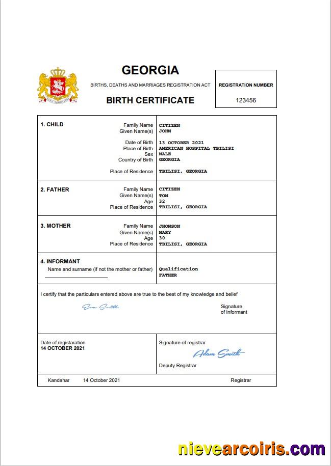 Editable Georgia Vital Record Birth Certificate Word And PDF Template