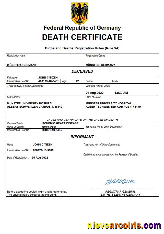 Professional Germany Death Certificate Word And PDF Template