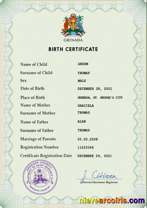 Realistic Grenada Vital Record Birth Certificate PSD Template