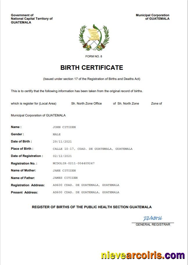 Professional Guatemala Birth Certificate Word And PDF Template