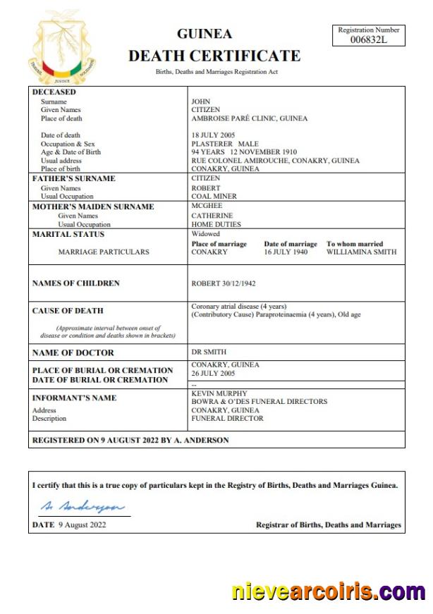 Editable Guinea Death Certificate Word And PDF Template,