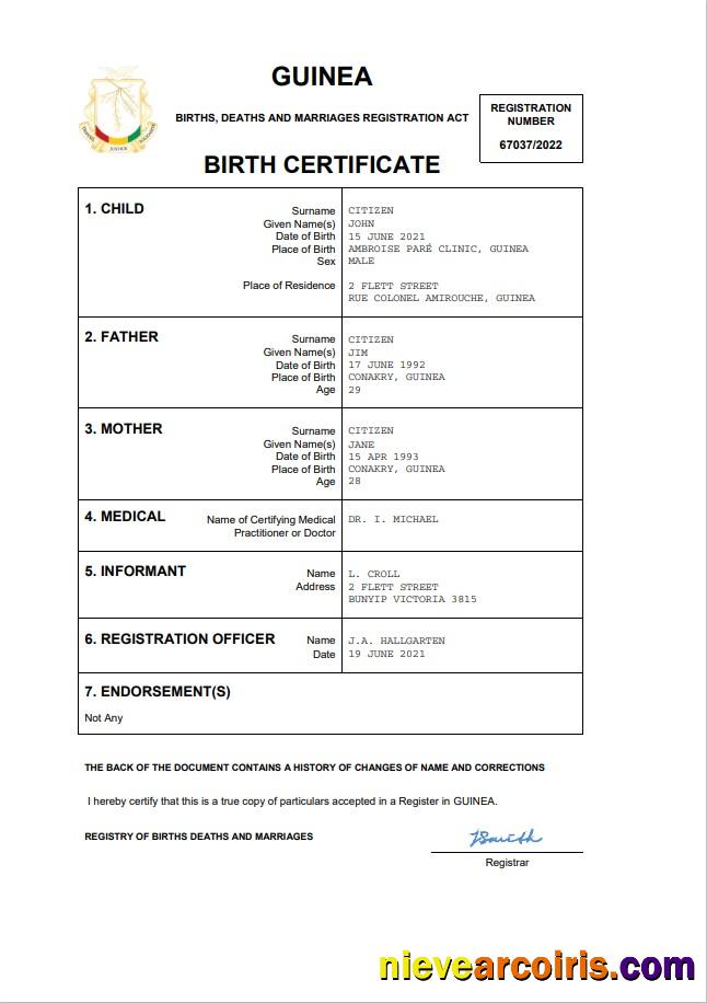 Professional Guinea Vital Record Birth Certificate Word And PDF Template