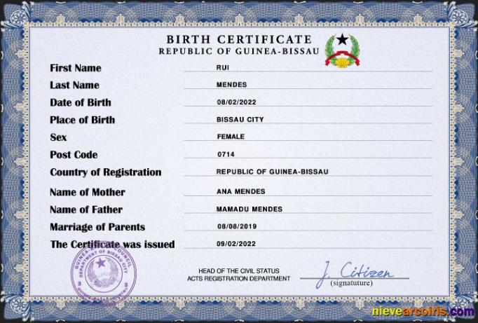 Realistic Guinea Bissau Birth Certificate PSD Template