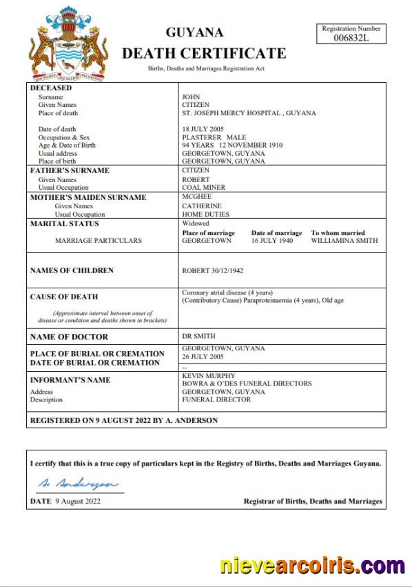 Professional Guyana Death Certificate Word And PDF Template
