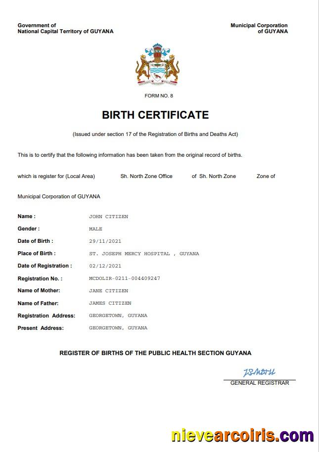 Professional Guyana Vital Record Birth Certificate Word And PDF Template