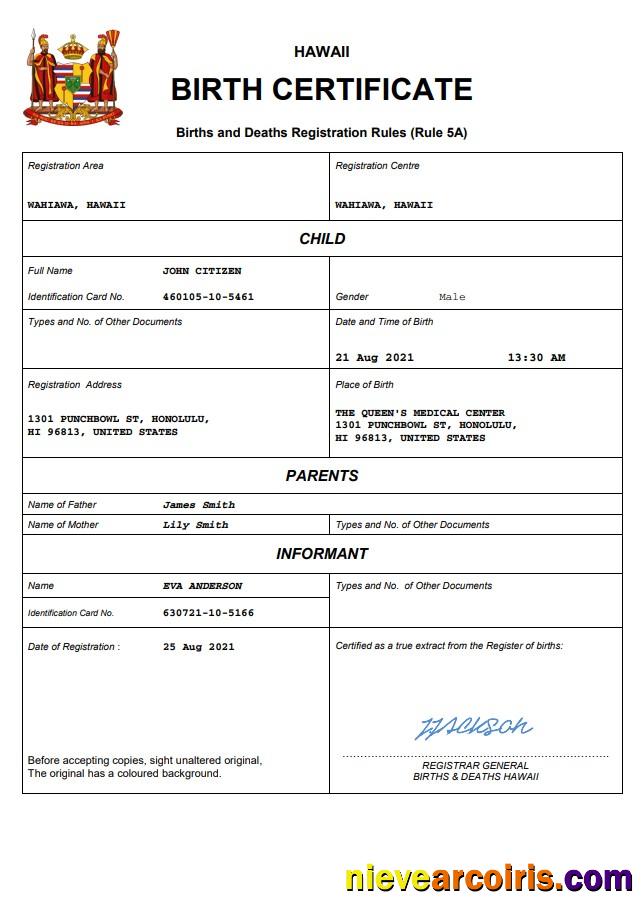 Editable Hawaii Birth Certificate Word And PDF Template